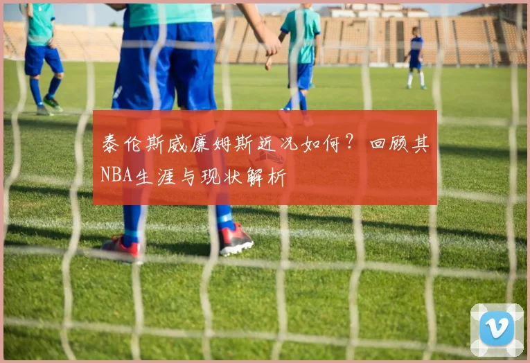 泰伦斯威廉姆斯近况如何？回顾其NBA生涯与现状解析