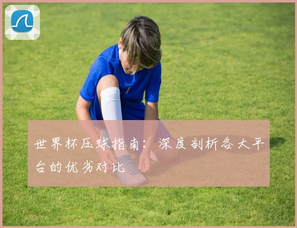 世界杯压球指南：深度剖析各大平台的优劣对比