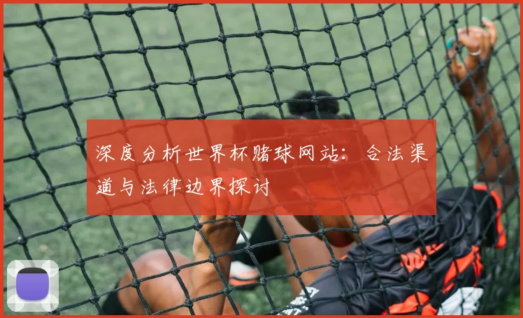 深度分析世界杯赌球网站：合法渠道与法律边界探讨
